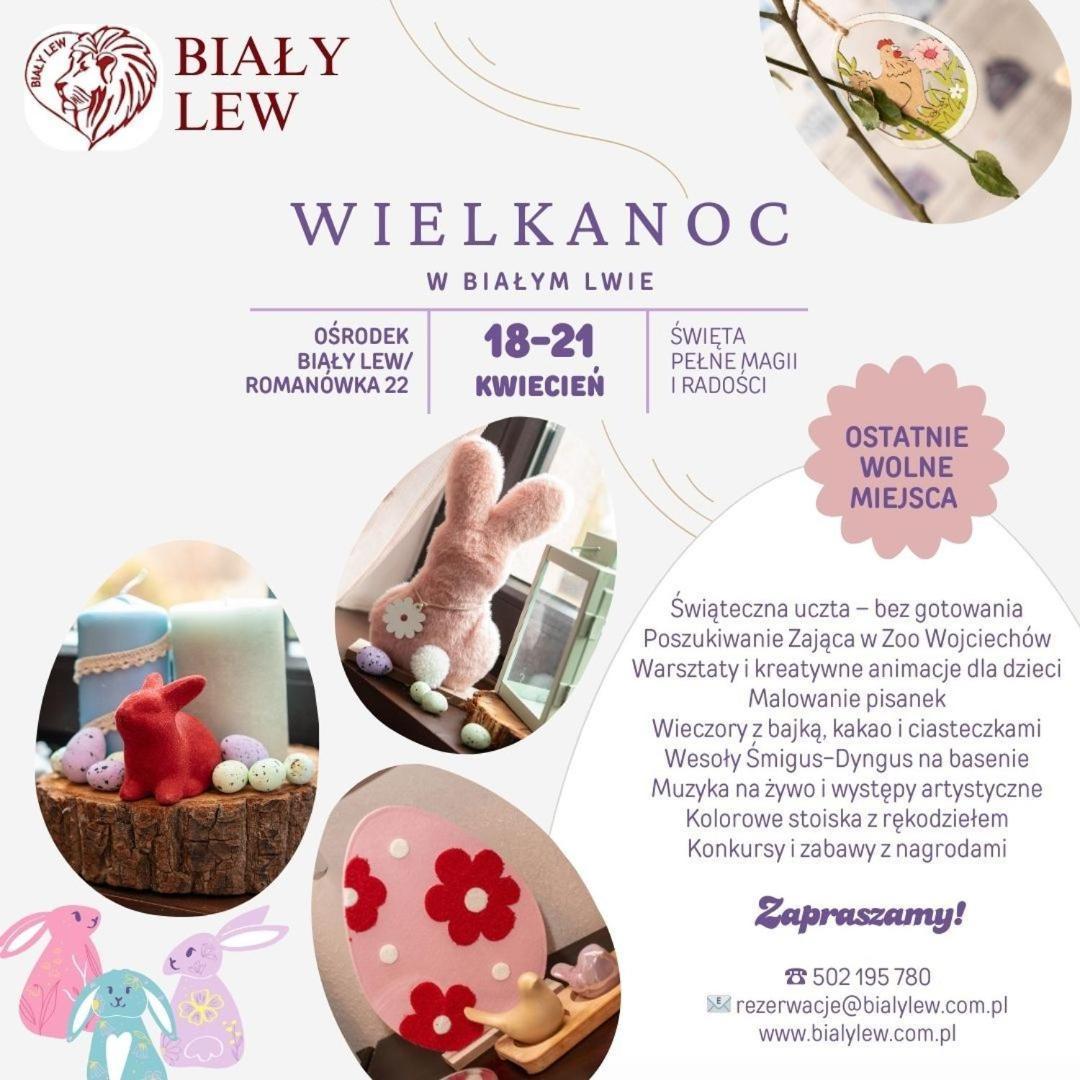 Osrodek Bialy Lew Bed & Breakfast Wojciechow  Exterior photo
